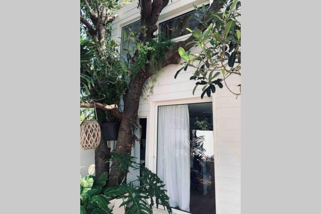 La Caze Amoremieve Pour Un Sejour Cozy A St Pierre Saint Pierre Ngoại thất bức ảnh